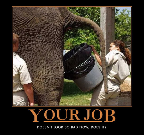 your-job-funny-motivational-poster